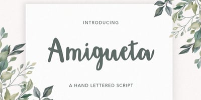Amigueta Script