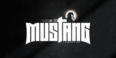 Black Mustang
