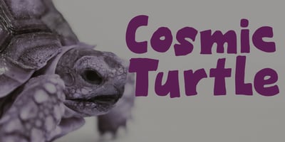 Cosmic Turtle