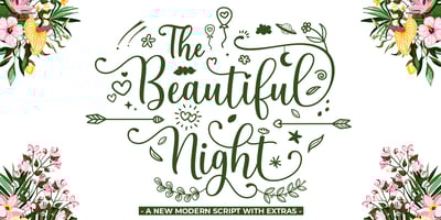 The Beautiful Night