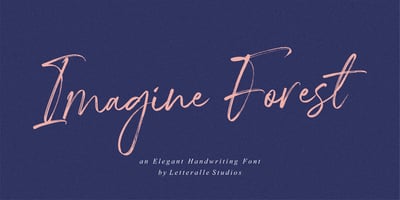 Imagine Forest