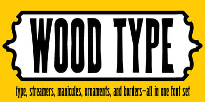 P22 Woodtype
