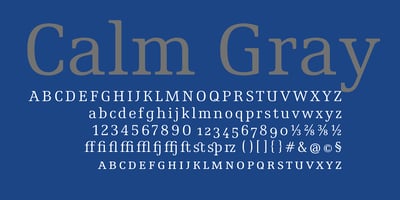 Calm Gray