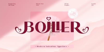 Boiller