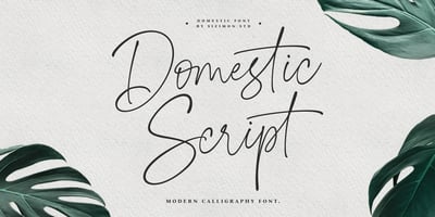 Domestic Script