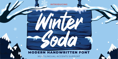 Winter Soda