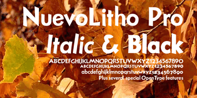 Nuevo Litho