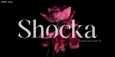 Shocka