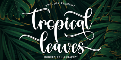 Tropical Leaves