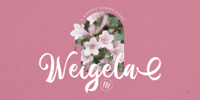 Weigela