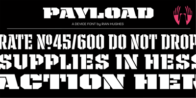 Payload