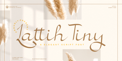 Lattih Tiny
