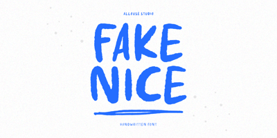 Fake Nice