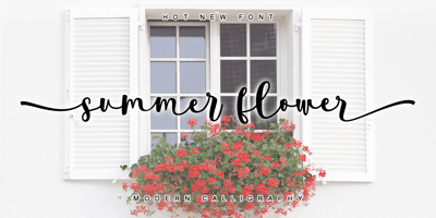 Summer Flower