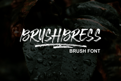 Brushbress