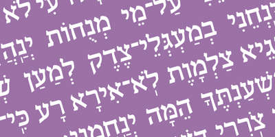 Hebrew Liane Std