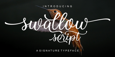Swallow Script