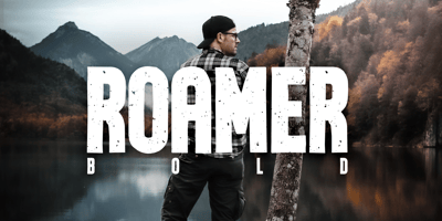 Roamer