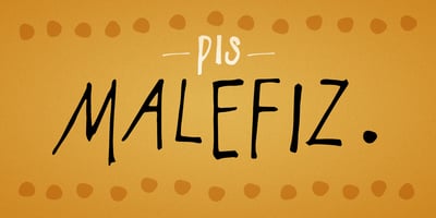 PiS Malefiz