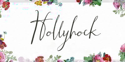 Hollyhock