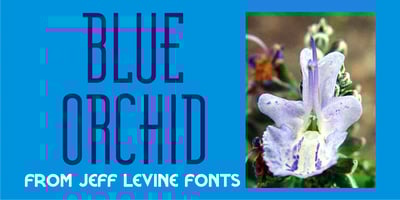 Blue Orchid JNL
