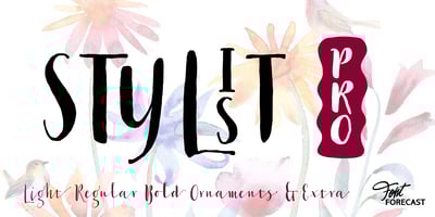 Stylist Pro