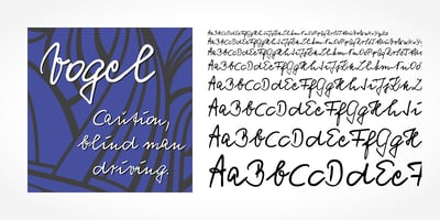 Vogel Handwriting Pro