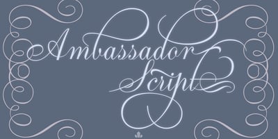 Ambassador Script