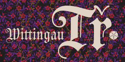 Wittingau