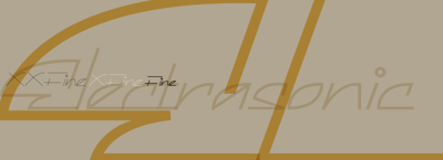Electrasonic