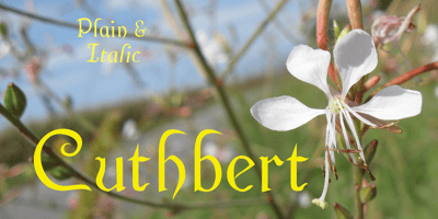 Cuthbert