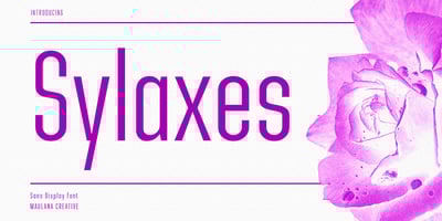 Sylaxes