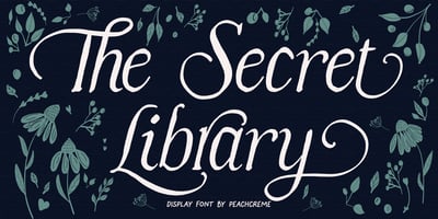 The Secret Library