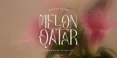 Melon Qatar