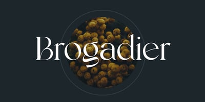 Brogadier