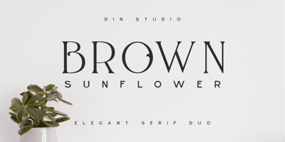 Brown Sunflower