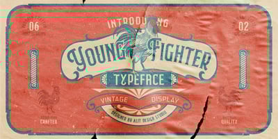 Young Fighter