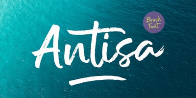 Antisa Brush