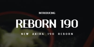 Reborn 190