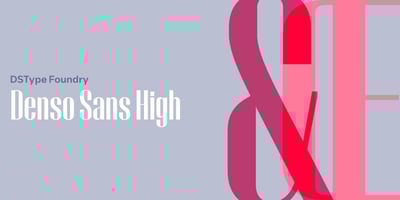 Denso Sans High