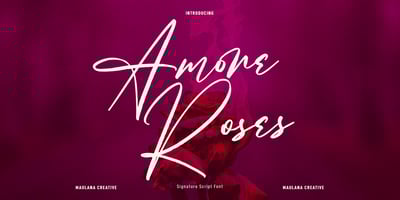 Amore Roses