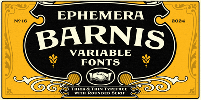 EFCO Barnis