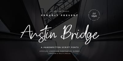 Austin Bridge