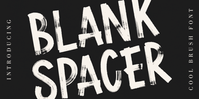 Blank Spacer