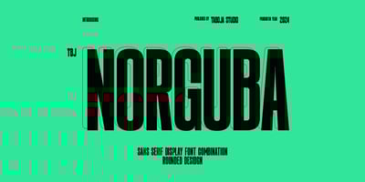 TBJ Norguba Condensed Sans