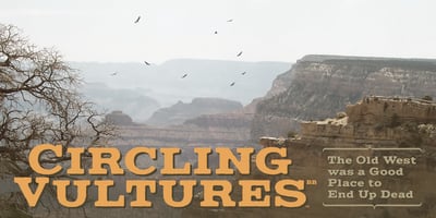 Circling Vultures BB