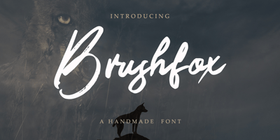 Brushfox
