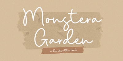 Monstera Garden