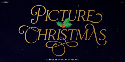 Christmas Picture