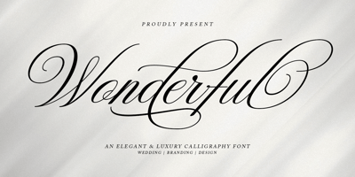 Wonderful Script